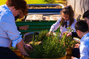 01-belfield-co-curricular-gardening
