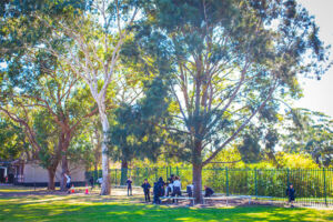 01-belfield-facilities-playground